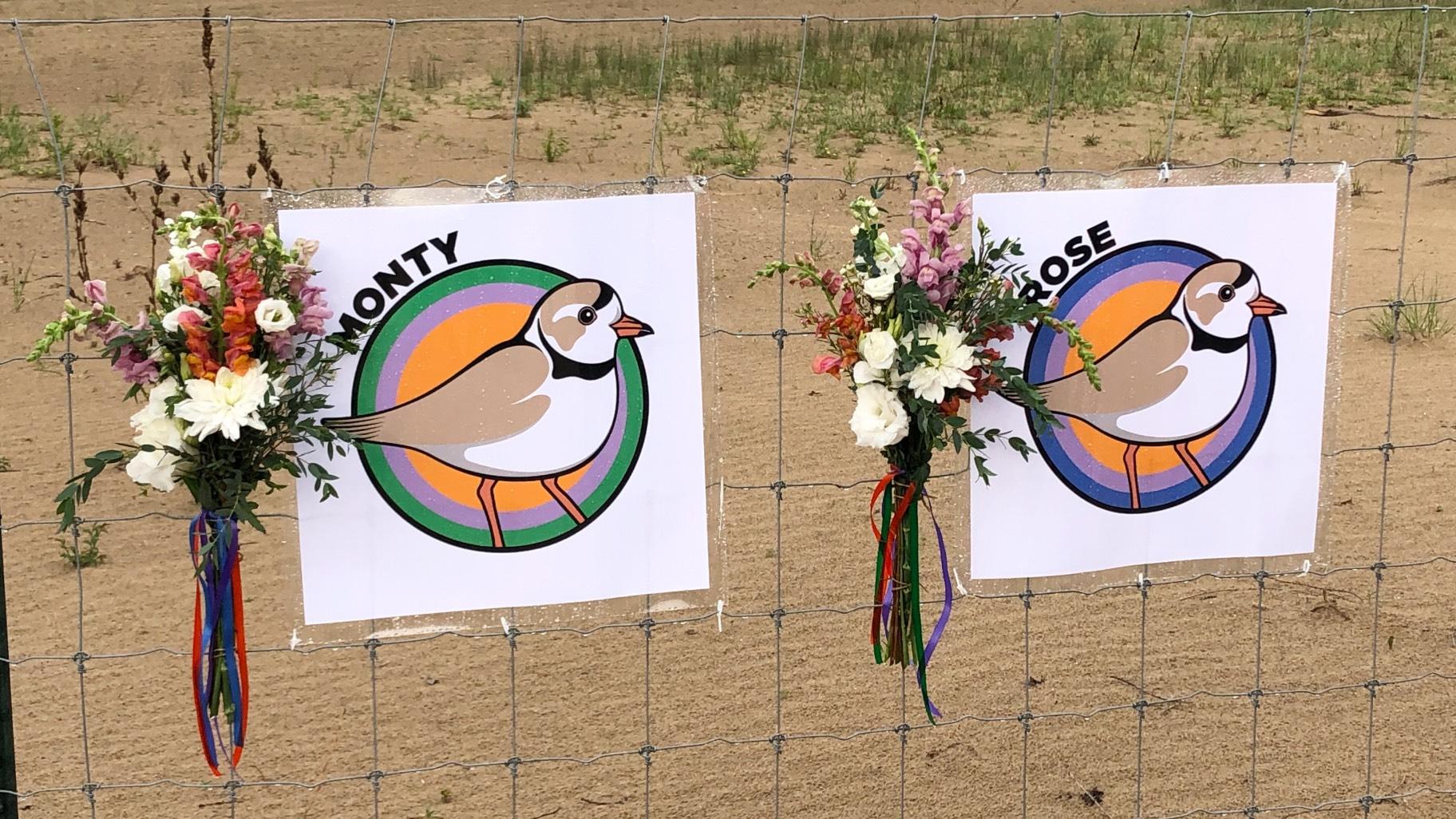 A memorial for Monty and Rose, held in 2022, at the site now named in their honor. (Patty Wetli / WTTW News)