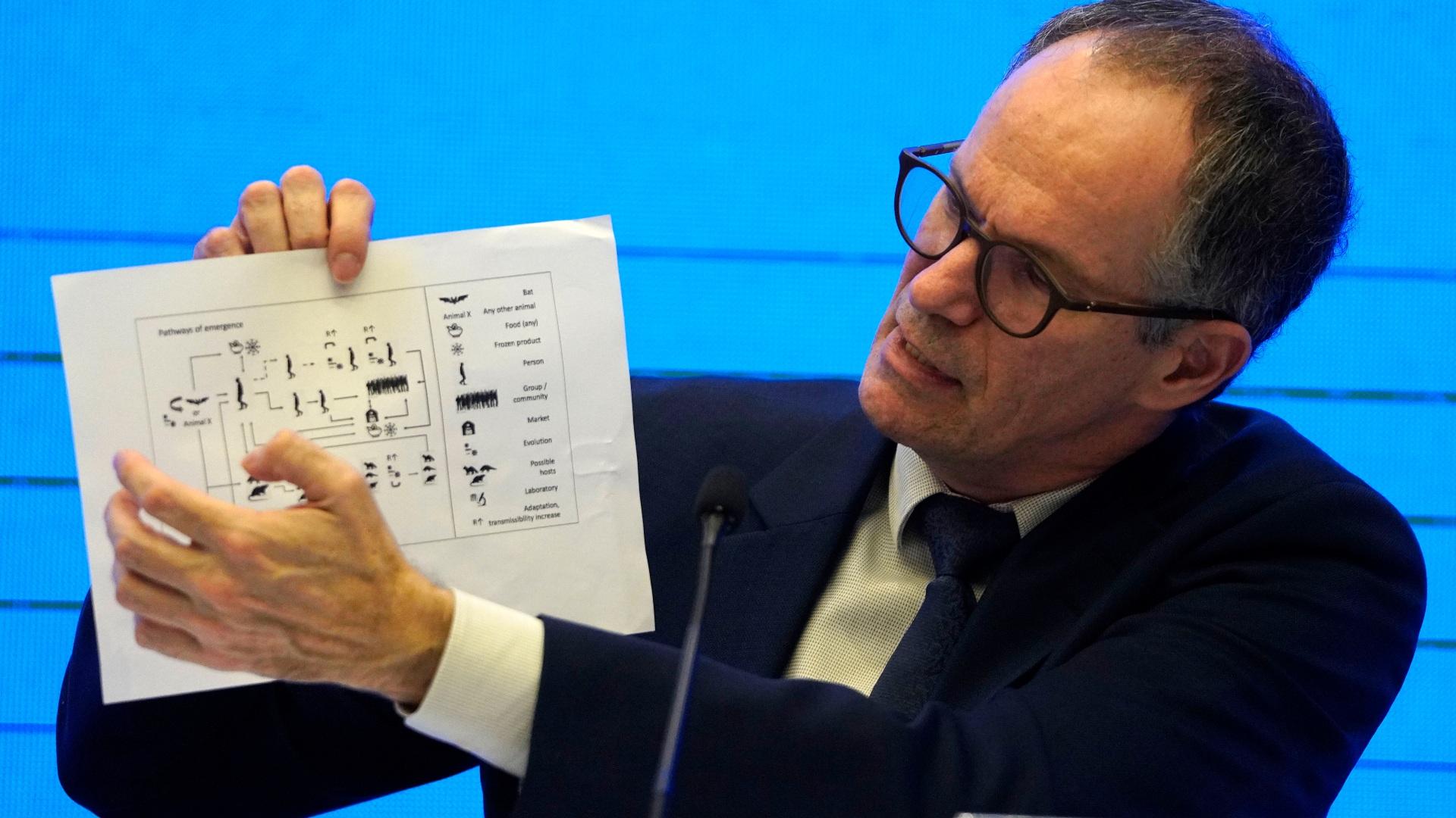 In this Feb. 9, 2021, file photo, Peter Ben Embarek of the World Health Organization team holds up a chart showing pathways of transmission of the virus during a joint news conference at the end of the WHO mission in Wuhan in central China's Hubei province. (AP Photo / Ng Han Guan, File)