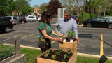 Strategies for Container Gardening in Chicago